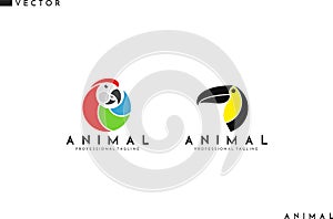 Bird logo. Abstract parrot and toucan